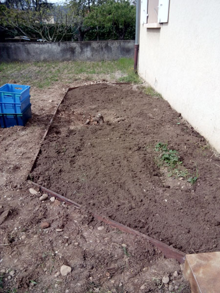 souche dans jardin